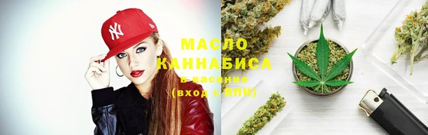 ECSTASY Богородск