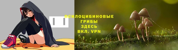 ALPHA PVP Бородино