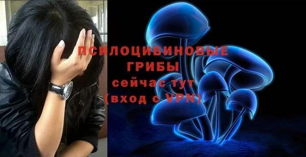 МДМА Богданович