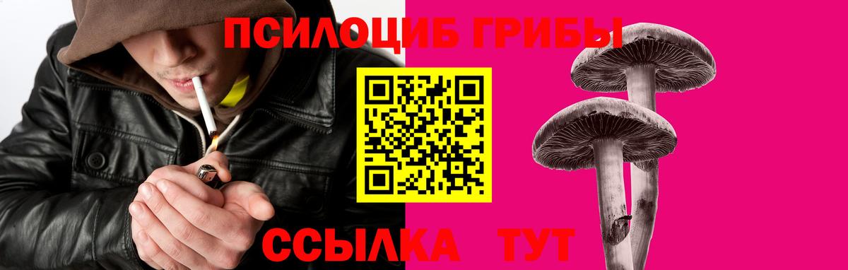 Кировск  Псилоцибиновые грибы Cubensis  наркотики  Вход с VPN 